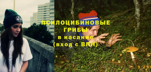 ешки Богородицк