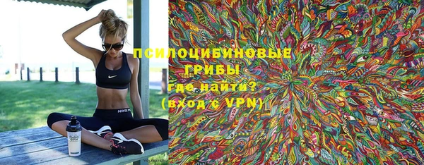 гидропоника Богданович