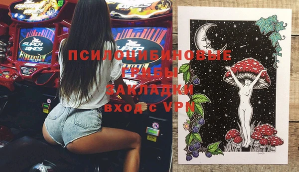 гидропоника Богданович