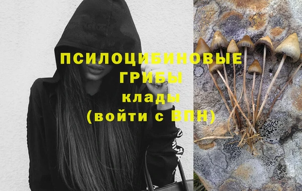прущие крисы Богородск