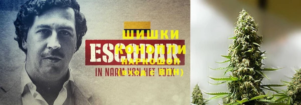 ешки Богородицк