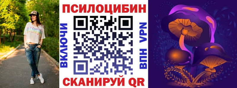 Галлюциногенные грибы Psilocybine cubensis  блэк спрут ССЫЛКА  Шахты  где купить наркоту 